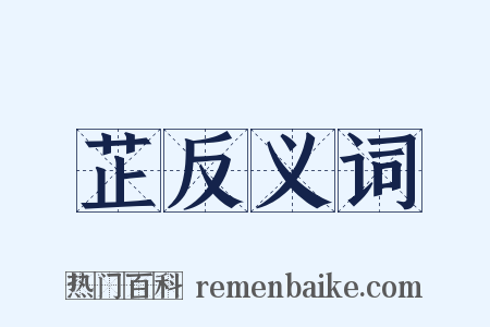 芷反义词是什么意思的图片